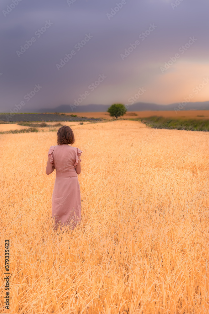 mujer mirando el paisaje de campos de trigo mujer mirando el paisaje de campos de trigo