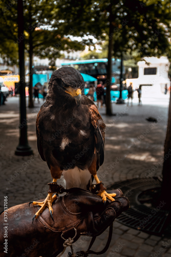Porto, Portugal