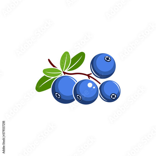 Blueberry vector illustration. Blue berries with green leaves isolated on white background.