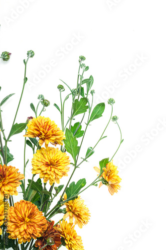 Valokuva Flowers composition from chrysanthemum flowers