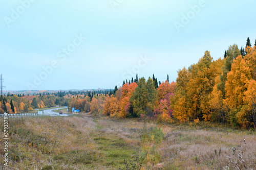 autumn landscape in the mountains