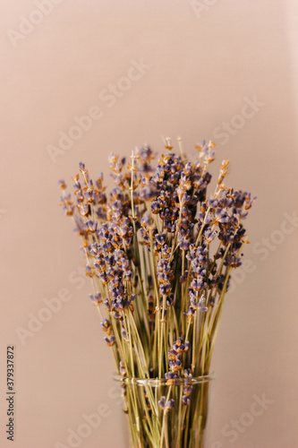 Lavender flower. Flowers flat design. Pink roses and lavender flowers on pink background