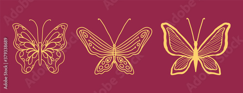 Amazing butterflies with beautiful wings, wildlife insect, circles, dots and spirals. Vector design element, creative bohemia concept for wedding invitations, postcards, tickets, congratulations,brand