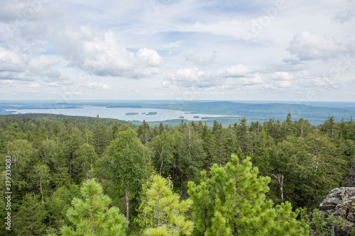 view from the mountain to the forest