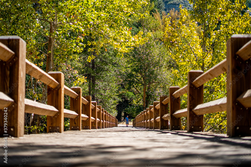 Nice view of Swinging bridge  and the landscape of Yosemite National Park during summer season , California , United States of America