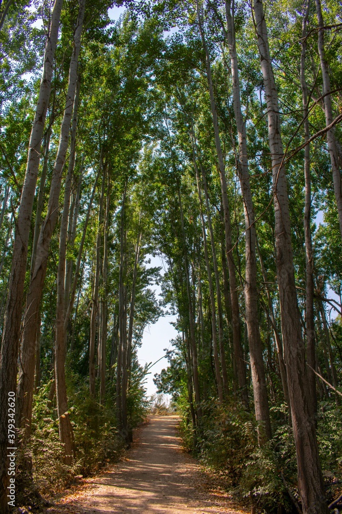 footpath through a natural park in the Bekaa valley, Lebanon footpath through a natural park in the Bekaa valley, Lebanon