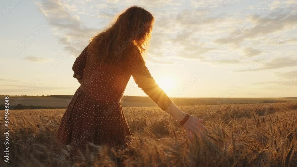 Red-haired woman walks in field with bouquet of golden wheat in summer, runs her hand over spikelets wheat lens flares, slow motion at orange sunset on sunny day. Woman walks in beautiful field. Relax Red-haired woman walks in field with bouquet of golden wheat in summer, runs her hand over spikelets wheat lens flares, slow motion at orange sunset on sunny day. Woman walks in beautiful field. Relax