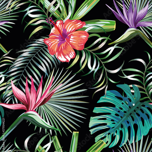 Piękne egzotyczne rośliny tropikalne i rajskie ptaki hibiskusa kwiaty bez szwu wektor wzór na czarnym tle
