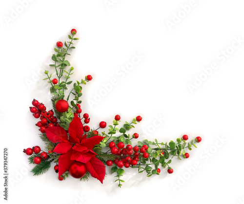 Christmas decoration. Flower of red poinsettia, branch christmas tree, red berries on white background with space for text. Top view, flat lay