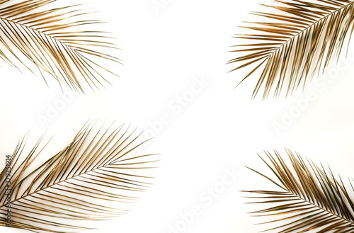 Gold palm leaves frame isolated on a white background. top view. copy space. abstract.