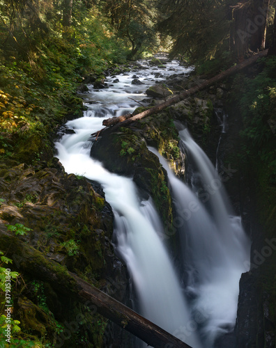 The Sol Duc Falls of Olympic National Park  Washington State.