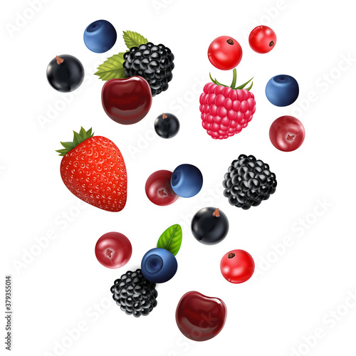 Realistic Detailed 3d Different Types Raw Berries Set. Vector