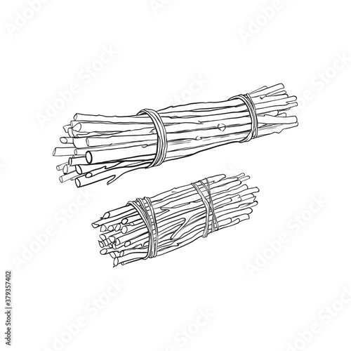 Hand drawn bundle of brushwood. Vector illustration.