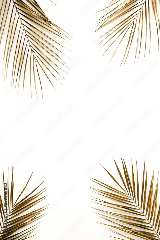 Fototapeta premium Gold palm leaves frame isolated on a white background. top view. copy space. abstract.
