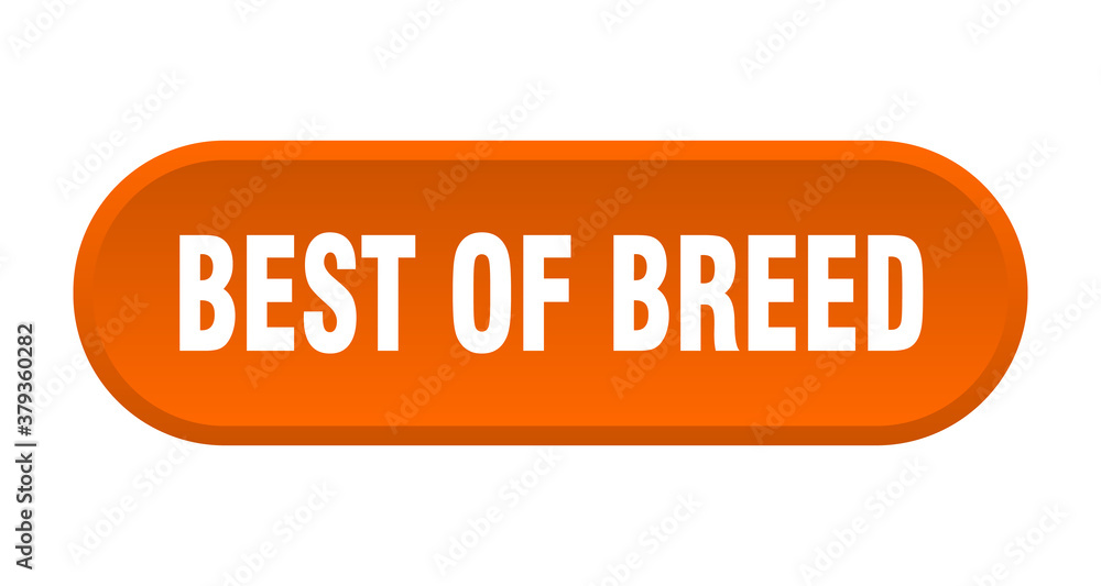 best of breed button. rounded sign on white background best of breed button. rounded sign on white background
