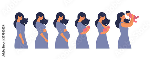 The main stages of pregnancy. Changes in the female body during pregnancy week after week. Set for infographics. Pregnancy Calendar. Flat stock vector illustration.