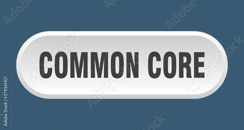 common core button. rounded sign on white background