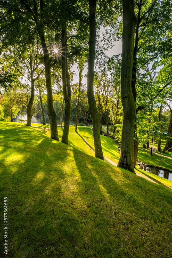 Park, las, pole golfowe