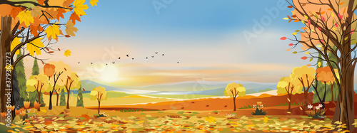 Autumn landscapes of Countryside with sunset and blue and pink sky,Panoramic of mid autumn with farm field, mountains, leaves falling from trees in orange foliage. Wonderland in fall season