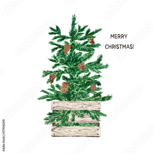 Watercolor Christmas tree illustration. Hand painted holiday fir tree in a wo...