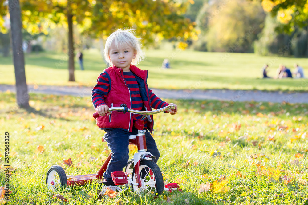 Beautiful blonde two years old toddler boy, riding red tricycle in the park on sunset Beautiful blonde two years old toddler boy, riding red tricycle in the park on sunset