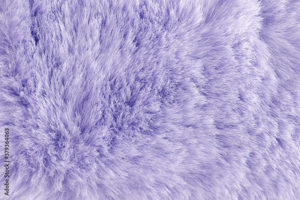 Violet long fibre soft fur texture. background full frame. copy space Violet long fibre soft fur texture. background full frame. copy space