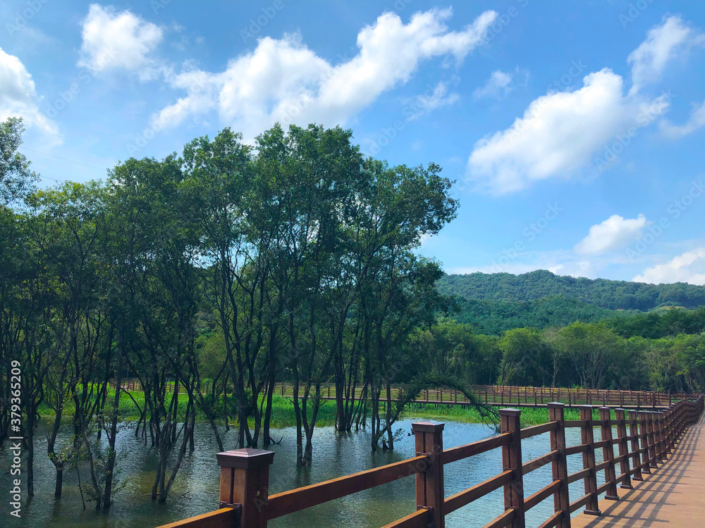 Obraz premium 한국 자연 풍경 저수지 고복저수지 산책로