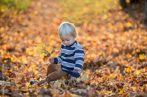 Beautiful toddler boy  walking on rural path on sunset  backlit