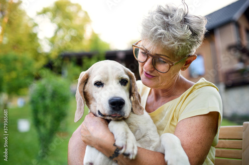 Portrait of senior woman standing outdoors in garden, holding pet dog.