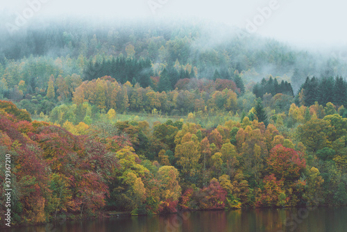 Fototapeta Naklejka Na Ścianę i Meble -  Autumn in Scotland