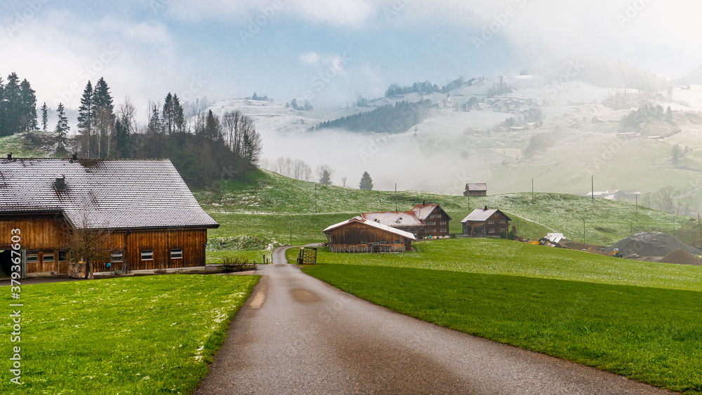 Nice landscape near Appenzell in the morning , Charming city in Switzerland