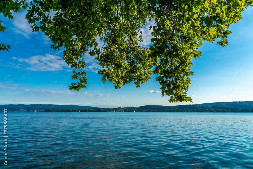 Ferien am schönen Bodensee Radolfzell Mettnau
Ferien am schönen Bodensee Radolfzell Mettnau