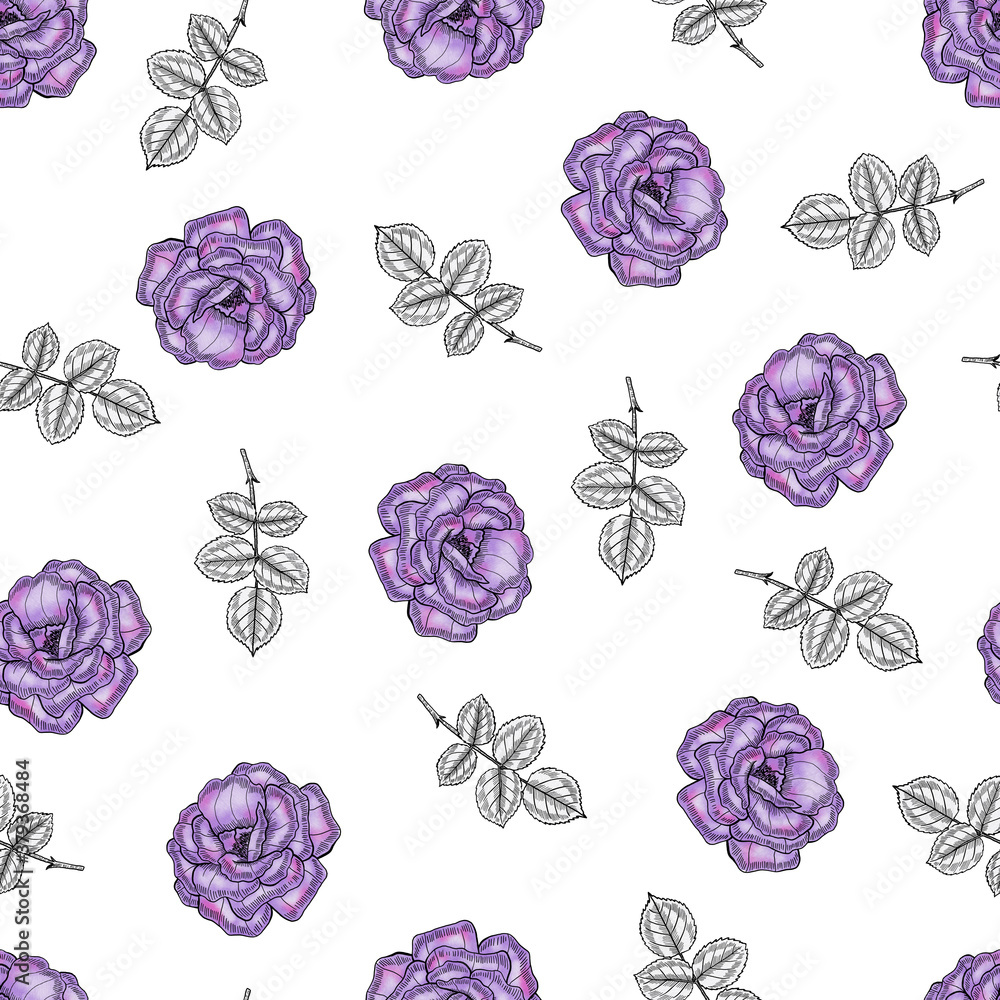 Purple Watercolor and Ink Roses on White Background Seamless Pattern