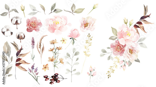 Big set of watercolor flowers