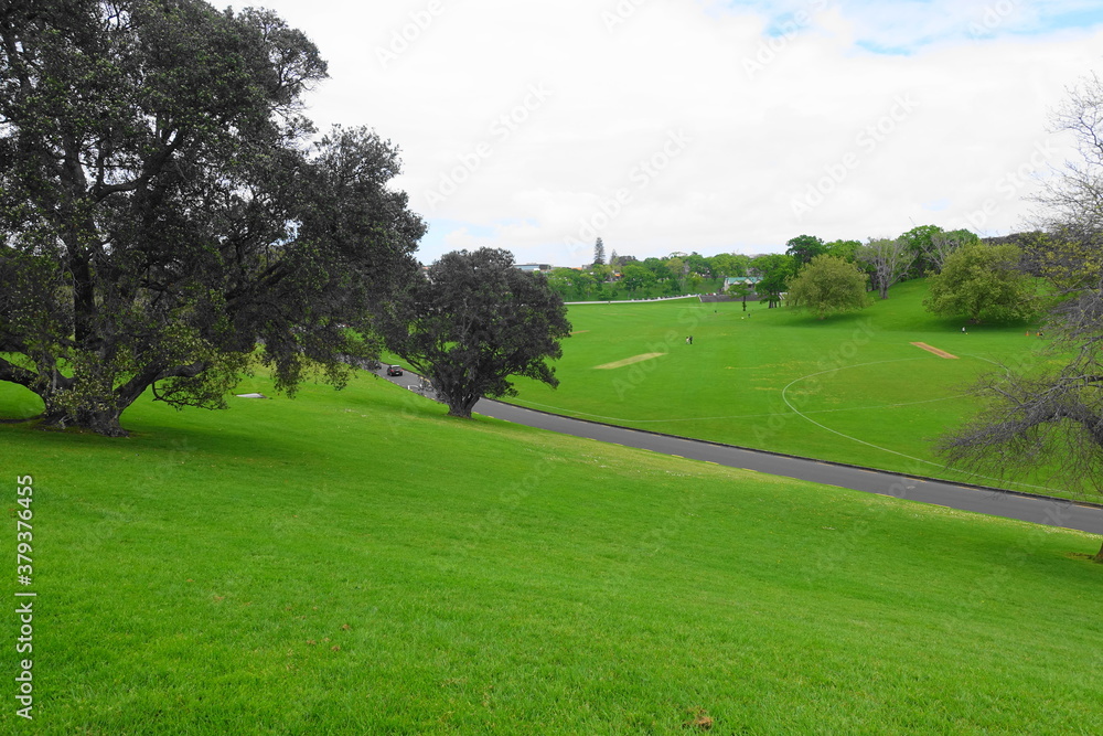 Obraz premium photo Auckland New Zealand