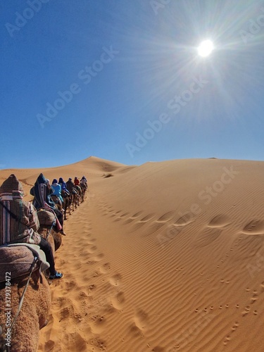 a people and camels pic of Sahara desert