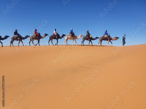 a people and camels pic of Sahara desert