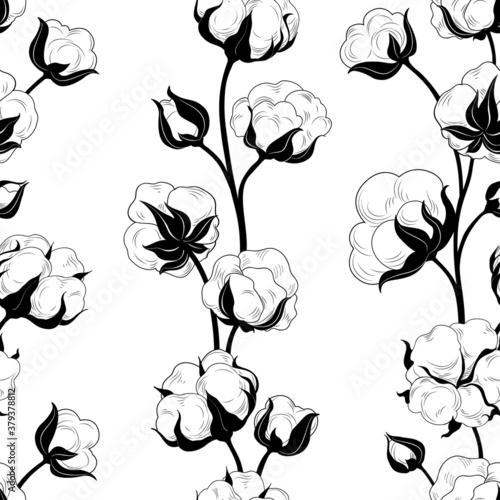 Seamless pattern with cotton bolls and branch. Cotton flowers and balls floral tile backdrop