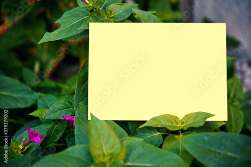 Blank empty yellow paper mock up on a green garden plants and leaf background in nature.