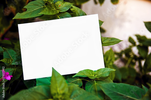 Blank empty white paper mock up on a green garden plants and leaf background in nature.