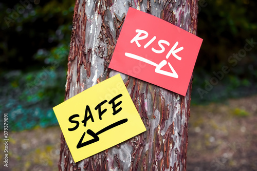 Risk versus safe words written on papers on a tree with arrow signs. Taking the risky way or secure path in decision making concept.