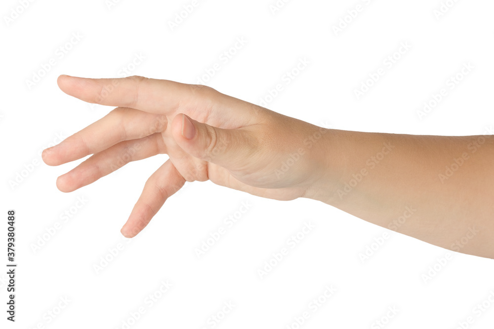 Beautiful female hand isolated on white background Beautiful female hand isolated on white background