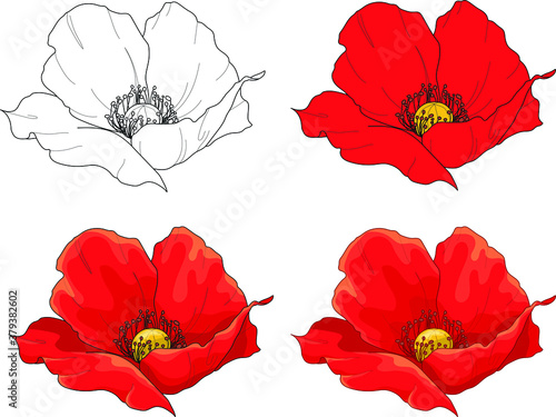 Realistic poppy flower template set. Bright hibiscus vector illustration in color and black and white color scheme for games, background, pattern, decor. Print for fabrics. Coloring paper, page, book