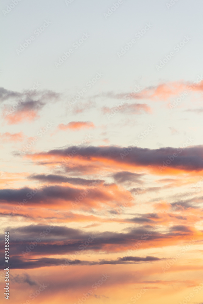 Evening sky with rain clouds in orange-pink sunset light
