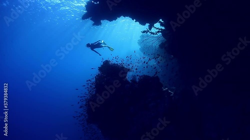 Free diver exploring vivid coral reef in tropical sea
