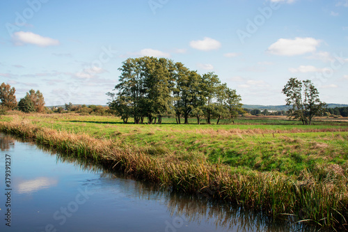 Trees in the park near the river. As well as big sosons and there is a river nearby.