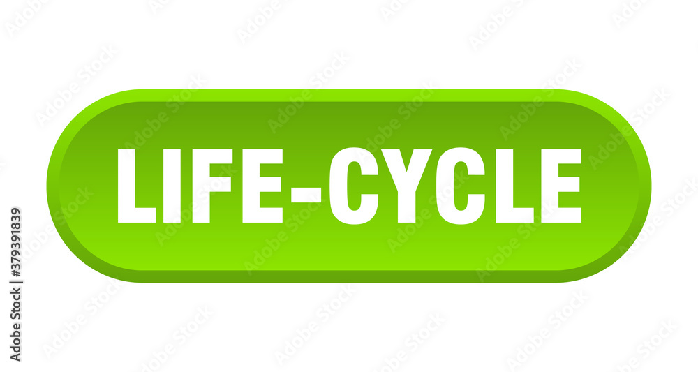 life-cycle button. rounded sign on white background life-cycle button. rounded sign on white background