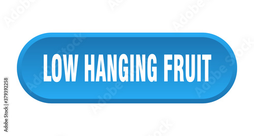 low hanging fruit button. rounded sign on white background