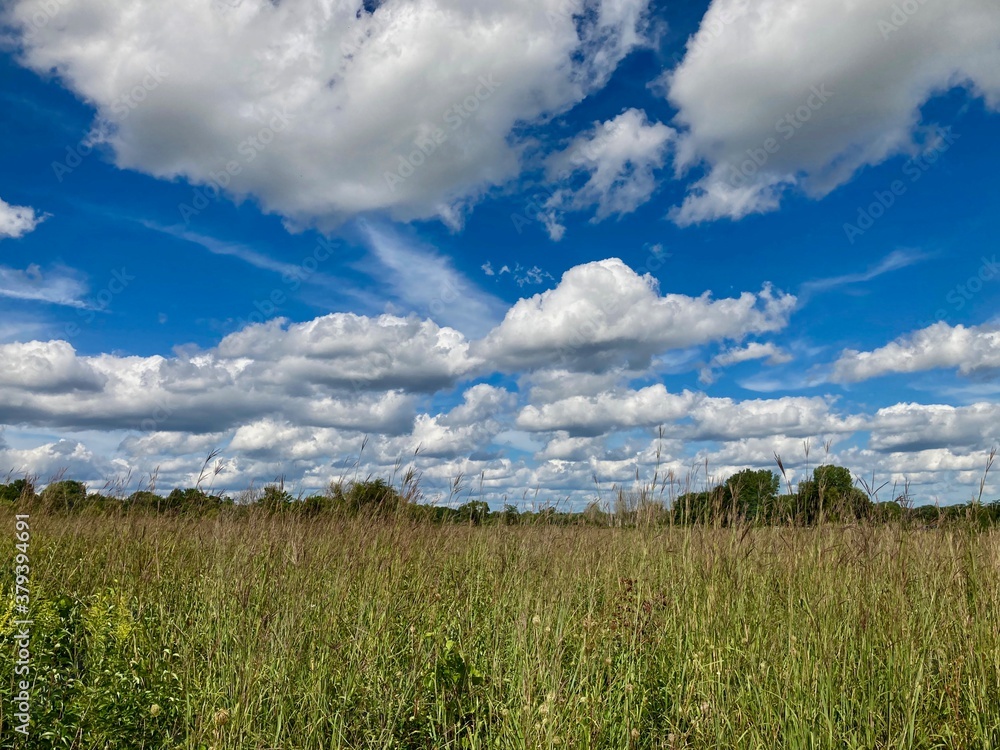Fototapeta premium cloudscape over grass and sky
