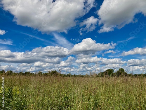 cloudscape over grass and sky